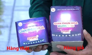 Phân biệt pháo hoa thật giả
