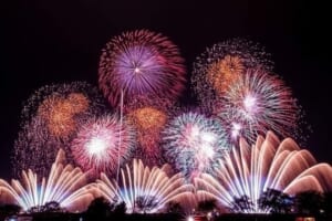 Bắn pháo hoa tết nguyên đán 2026